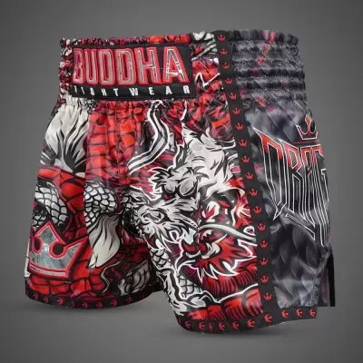 Calções desportivos coloridos com estampas de dragão e texto BUDDHA FIGHTWEAR e DRAGON