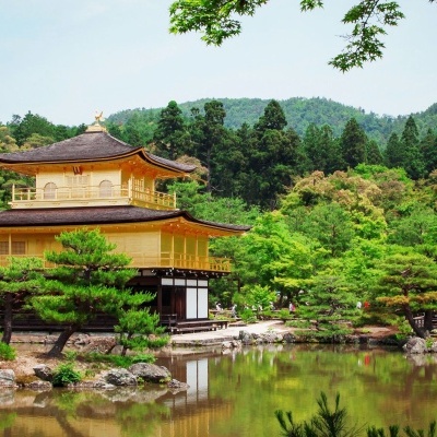 Templo japonês dourado junto a lago rodeado por vegetação e pessoas