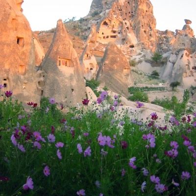 Formações rochosas e flores roxas em cenário natural ao ar livre