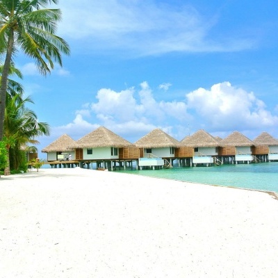 Praia com cabanas sobre palafitas e coqueiros sob céu azul