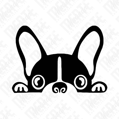 Desenho a preto e branco de um cão com orelhas grandes e olhos redondos