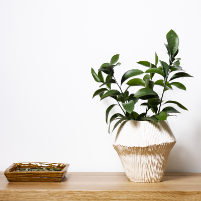 Vaso cerâmico branco com planta verde ao lado de recipiente cerâmico castanho