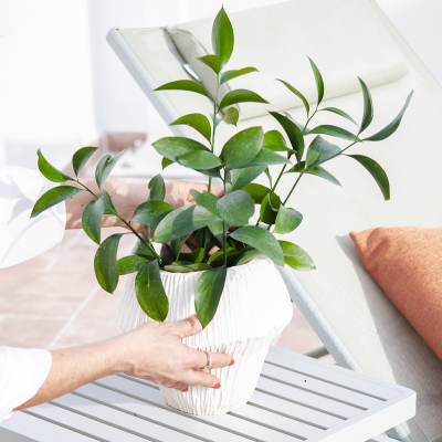 Vaso branco texturado com planta verde em mesa branca junto a espreguiçadeira e almofada laranja