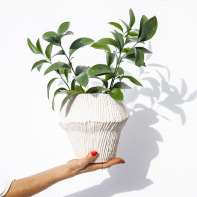 Vaso branco texturizado com planta verde segurado por mão com unhas vermelhas