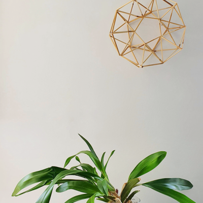 Planta em vaso de vidro com candelabro geométrico dourado suspenso