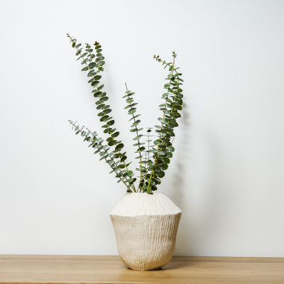 Vaso branco de cerâmica com eucalipto sobre mesa de madeira