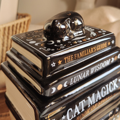 Caixas decorativas em forma de livros com gato preto em cima