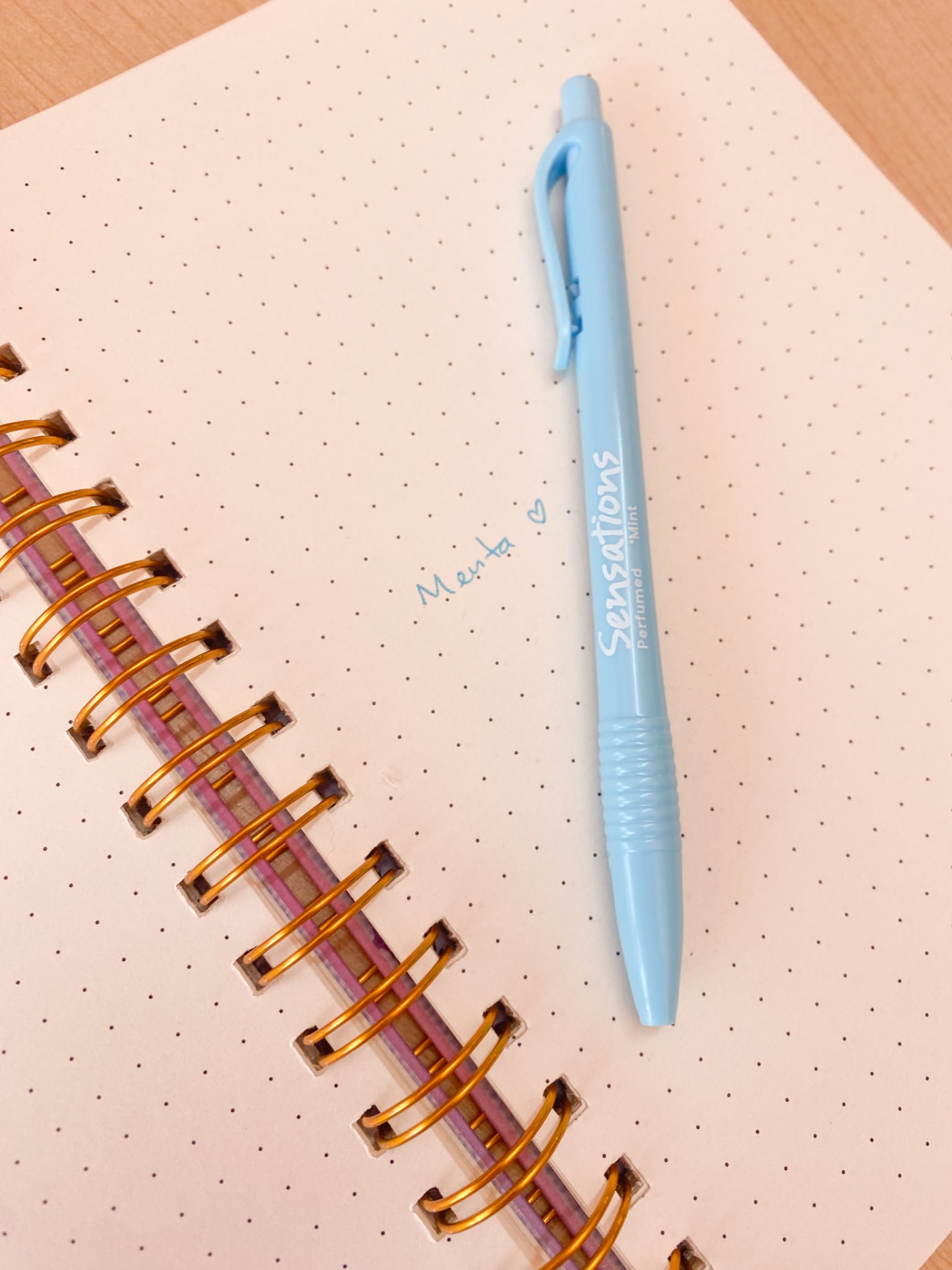 Caneta azul claro com texto branco sobre caderno espiral com folhas pontilhadas