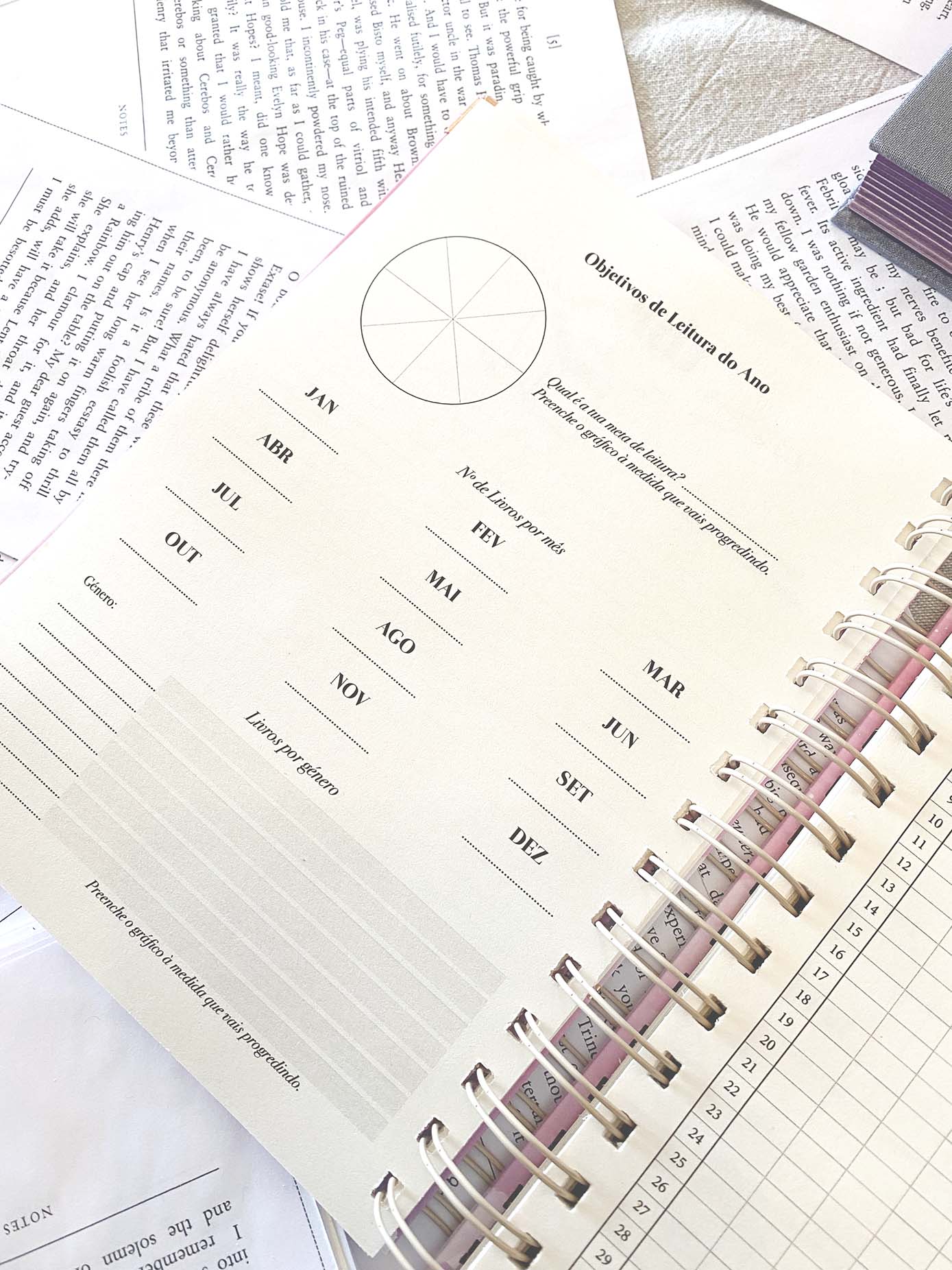 Página de planner com objetivos de leitura do ano, meses, gráficos e espaço para anotar preferências, caderno com espiral rosa