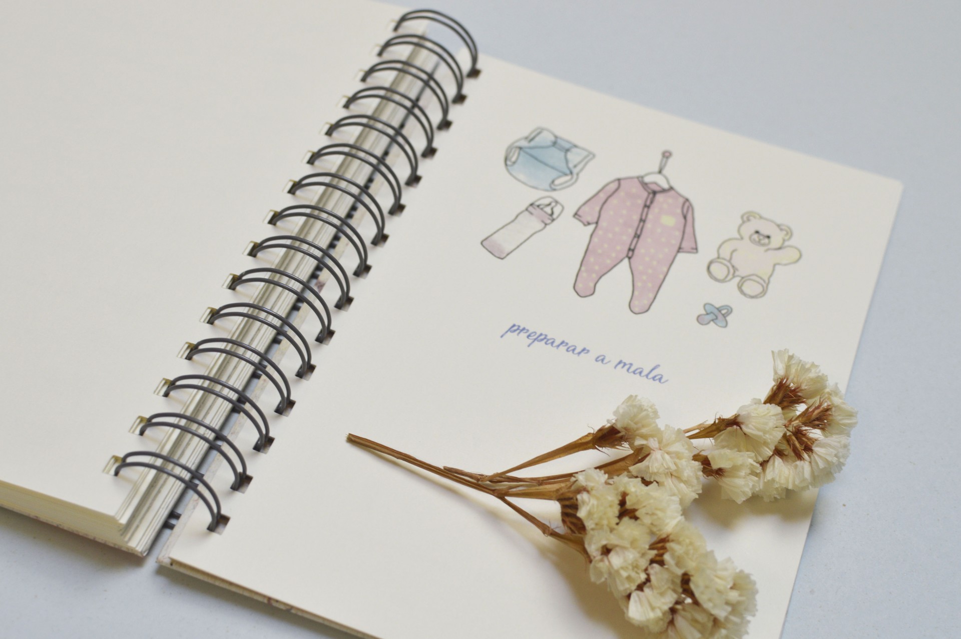 Caderno de espiral aberto com ilustrações e ramo de flores secas
