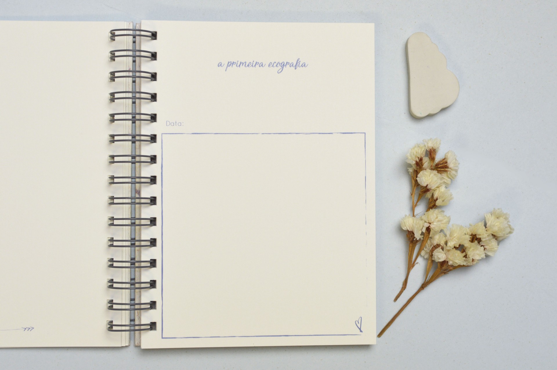 Caderno espiral aberto com texto e flores secas ao lado