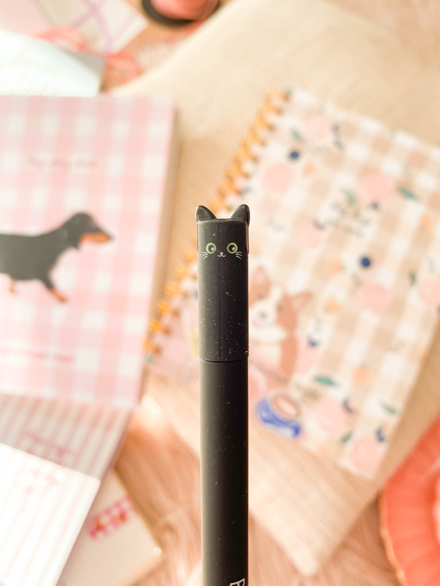 Caneta preta com tampa de gato e cadernos com padrões e desenhos
