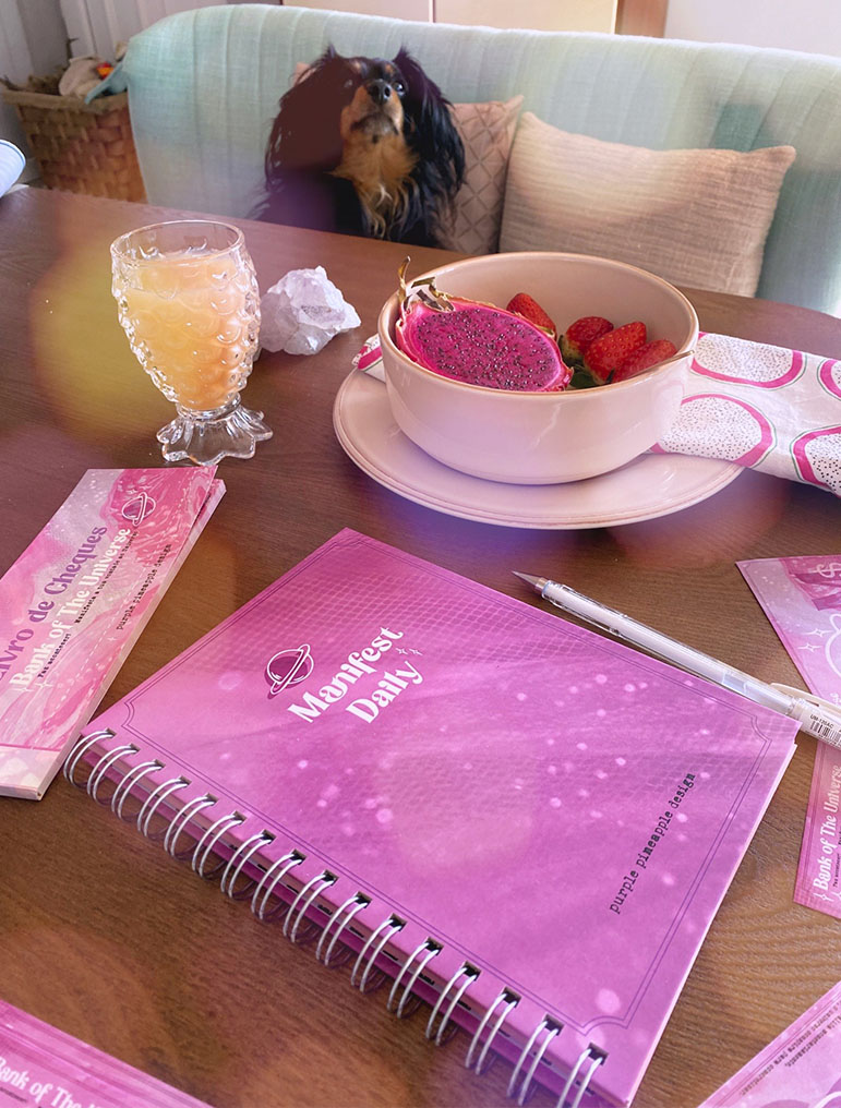 Mesa com caderno rosa, caneta, copo de bebida e tigela com frutas, cão ao fundo no sofá