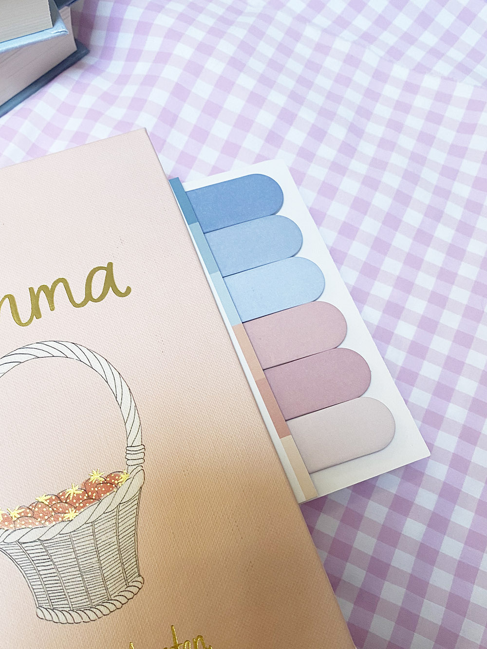 Livro ou caderno rosa com cesto ilustrado e marcador de abas colorido sobre tecido xadrez lilás