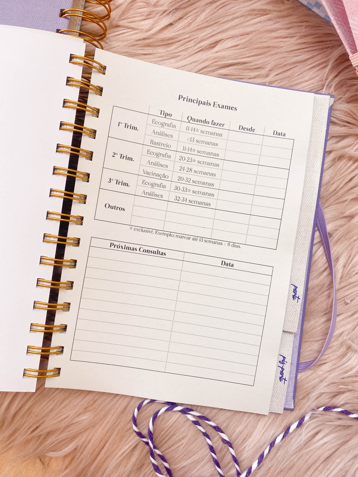 Página aberta de caderno com tabela de exames, espiral dourada, sobre tecido rosa pálido