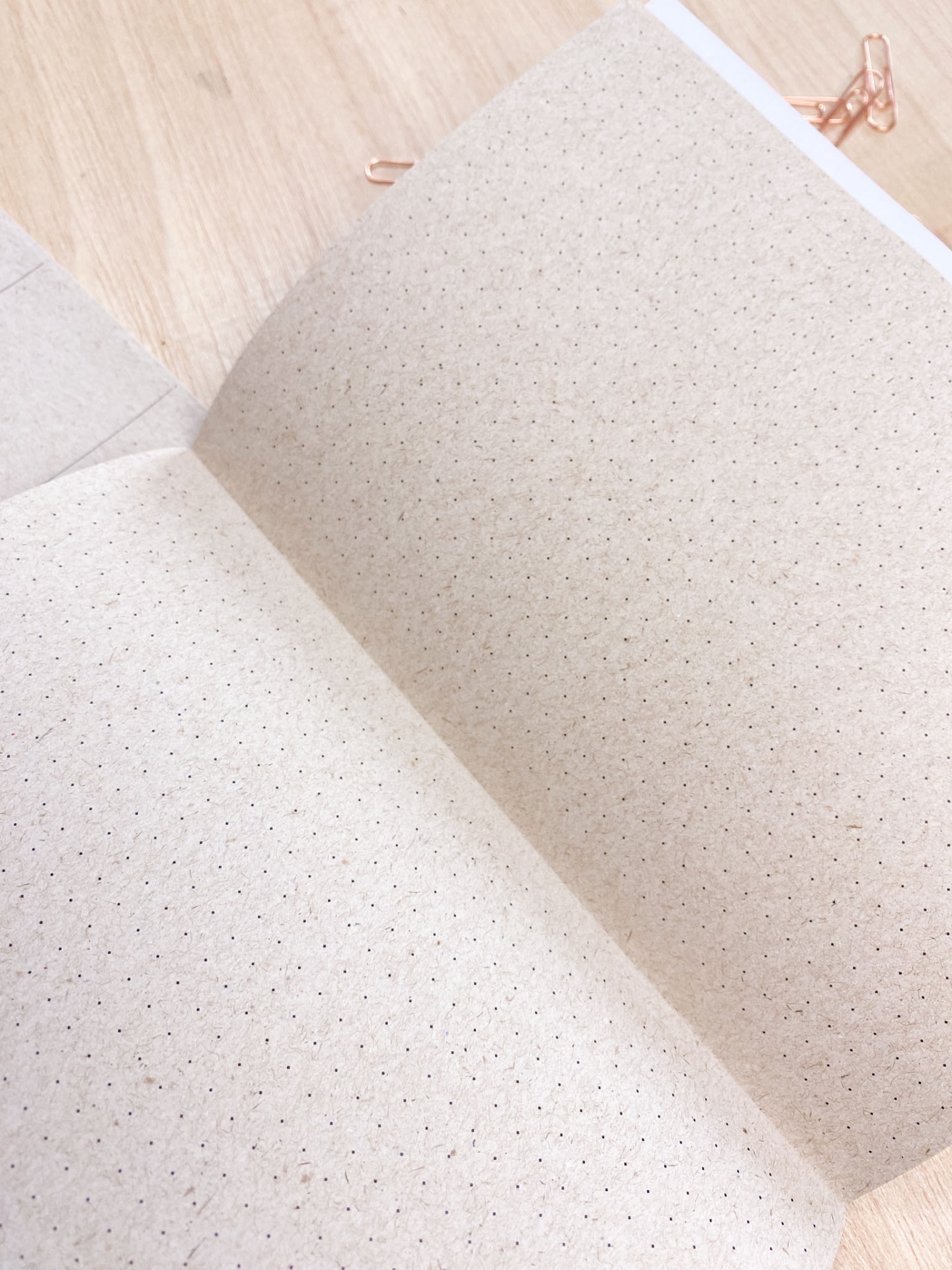 Caderno aberto com páginas creme pontilhadas sobre mesa de madeira clara