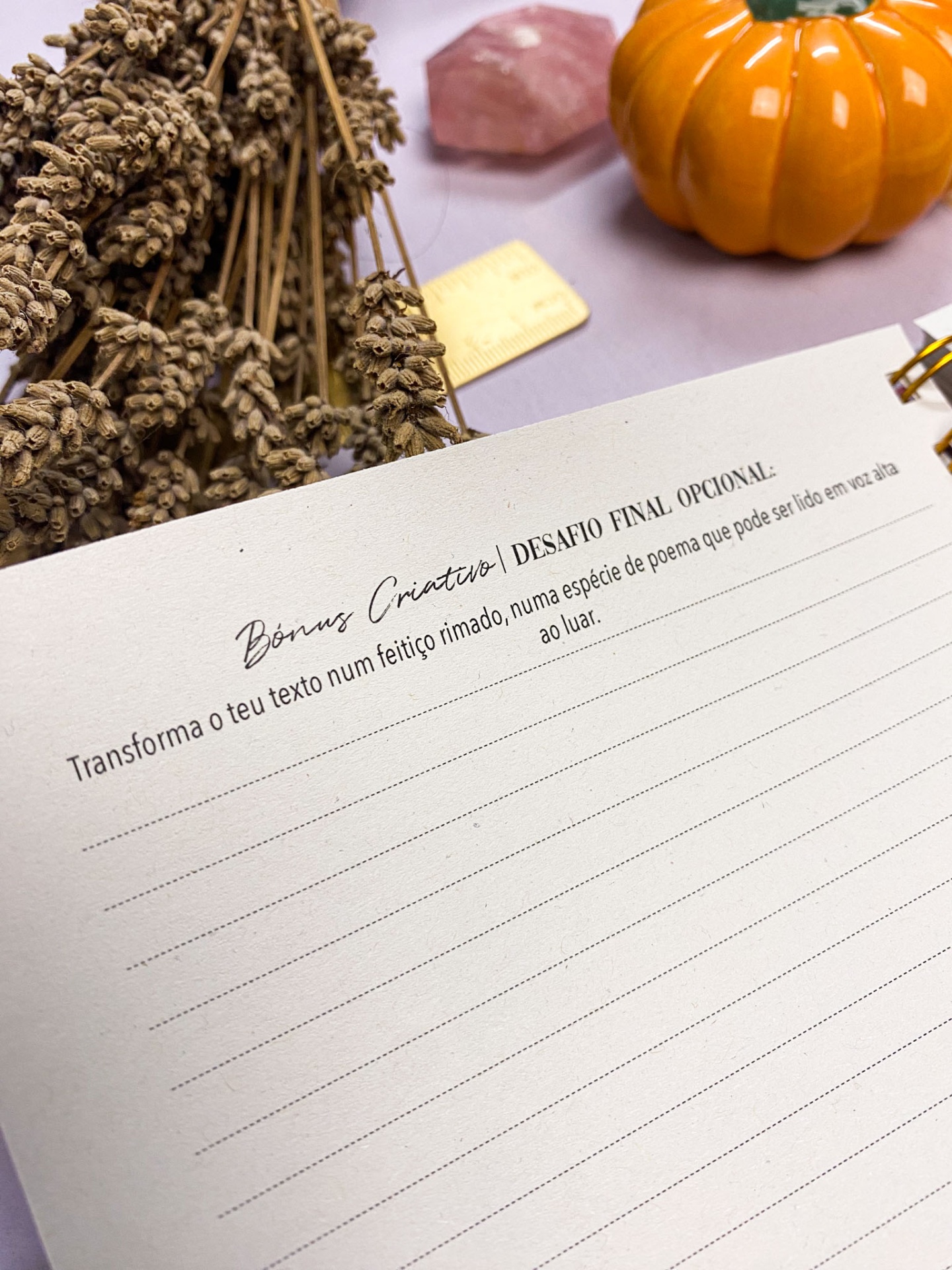 Página de caderno com texto em português e objetos decorativos ao redor