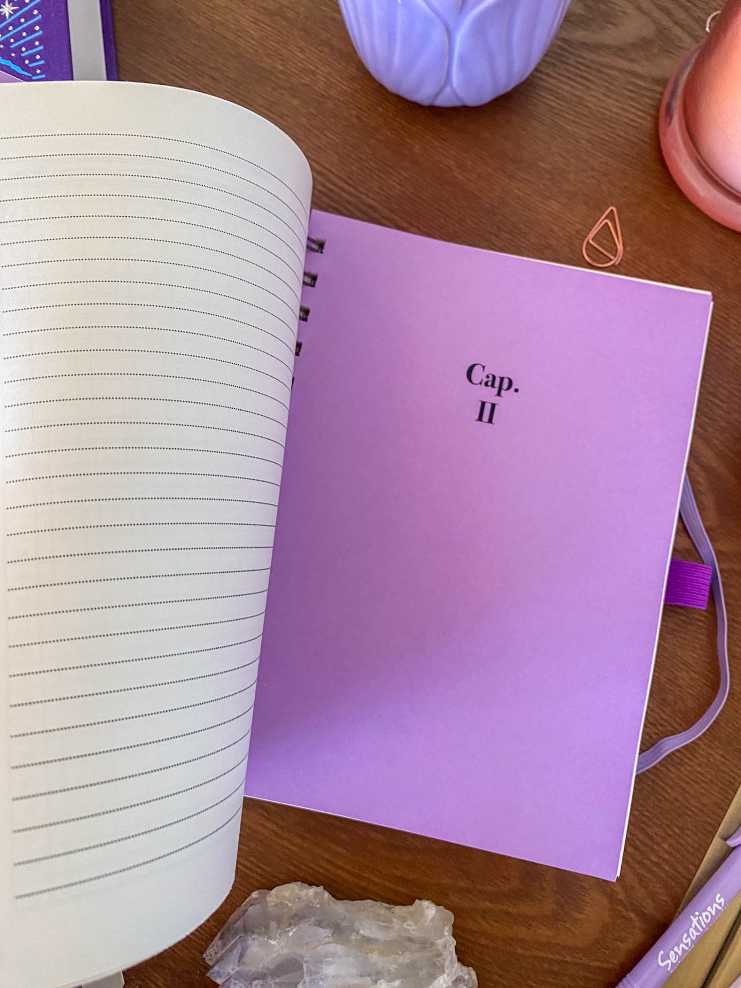 Caderno aberto com capa interior rosa lilás e texto Cap. II ao lado de objetos decorativos numa mesa de madeira