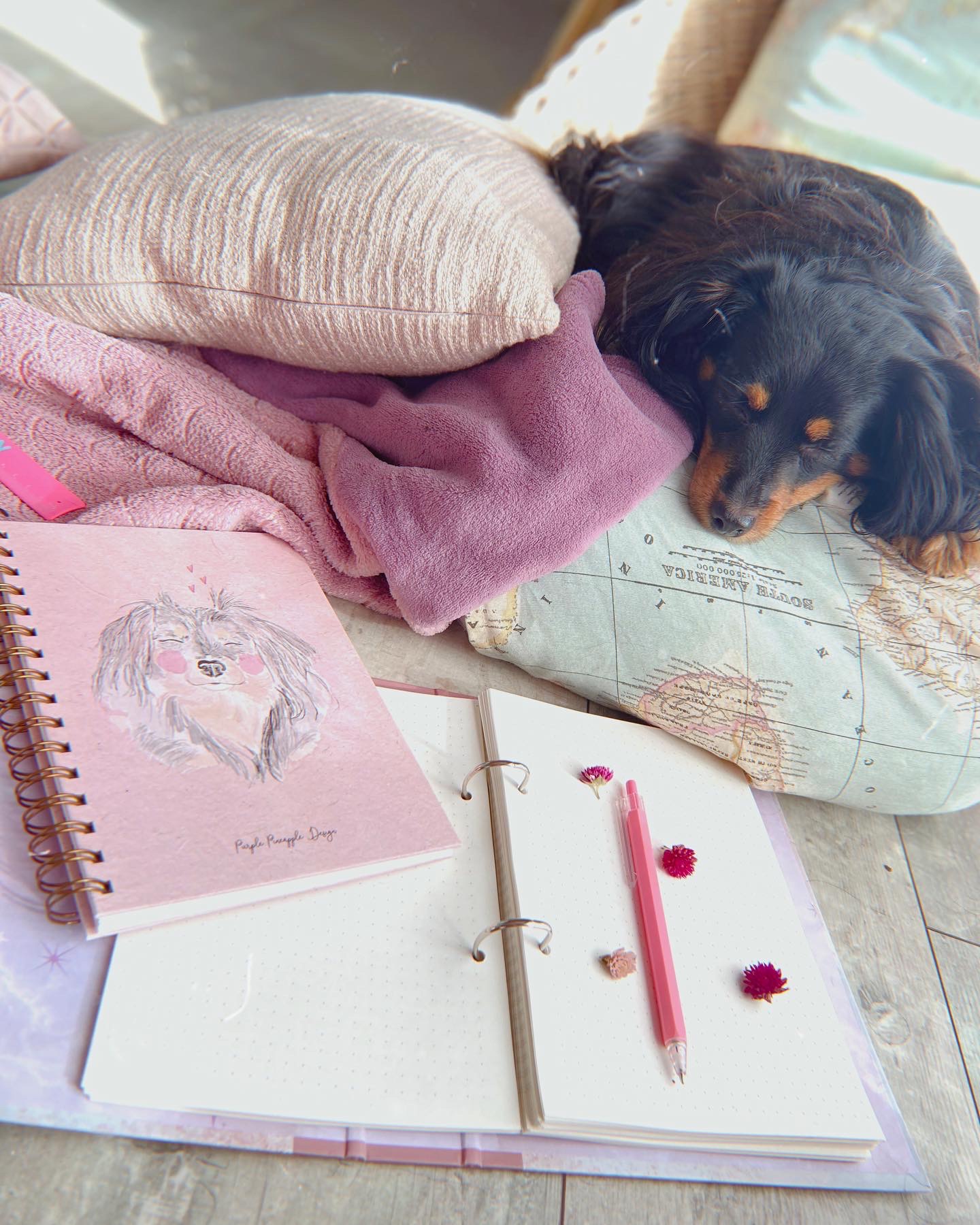 Cão a dormir sobre almofada estampada com mapa, perto de cadernos e almofadas cor-de-rosa e lilás num chão de madeira