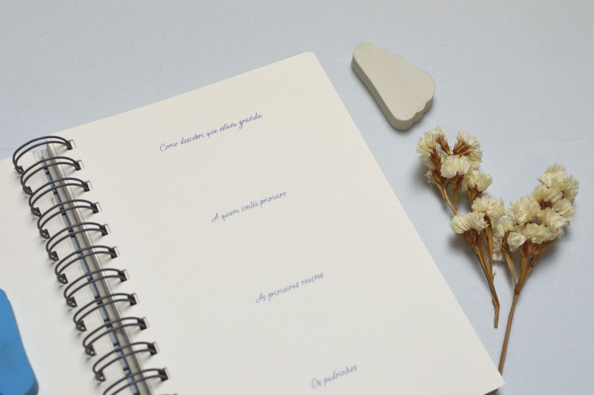 Caderno aberto com texto azul, borracha branca em forma de nuvem e flores secas