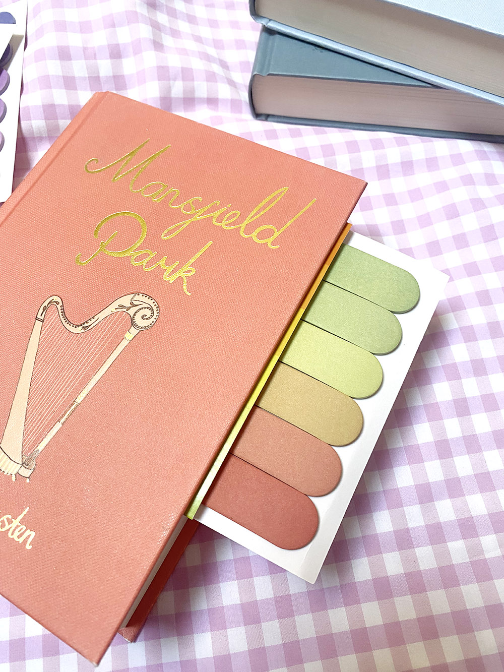 Livro 'Maryjeld Park' com capa pêssego e marcadores coloridos sobre tecido xadrez lilás e branco