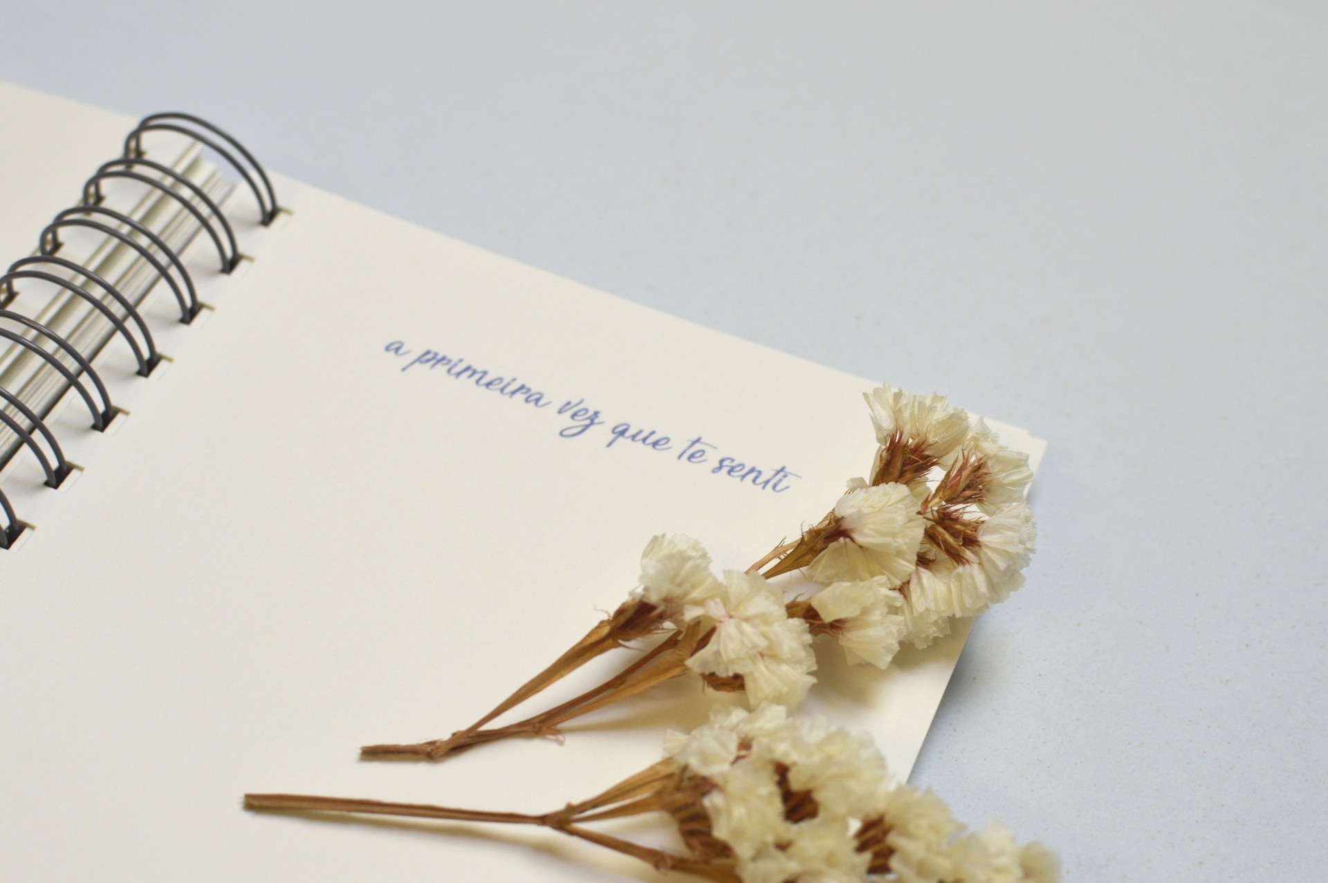 Caderno branco com espiral e flores secas sobre fundo cinzento