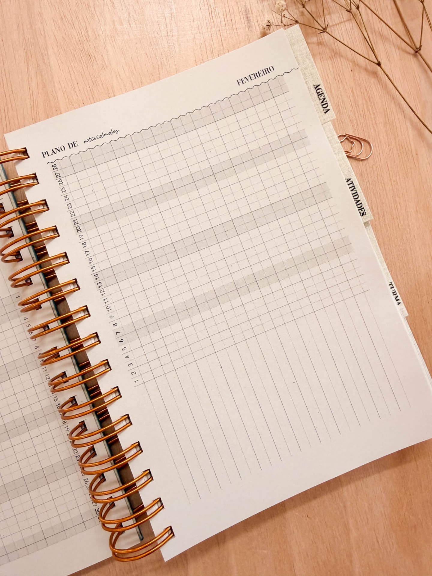 Página de agenda com plano de atividades para fevereiro com espiral metálica cor cobre.