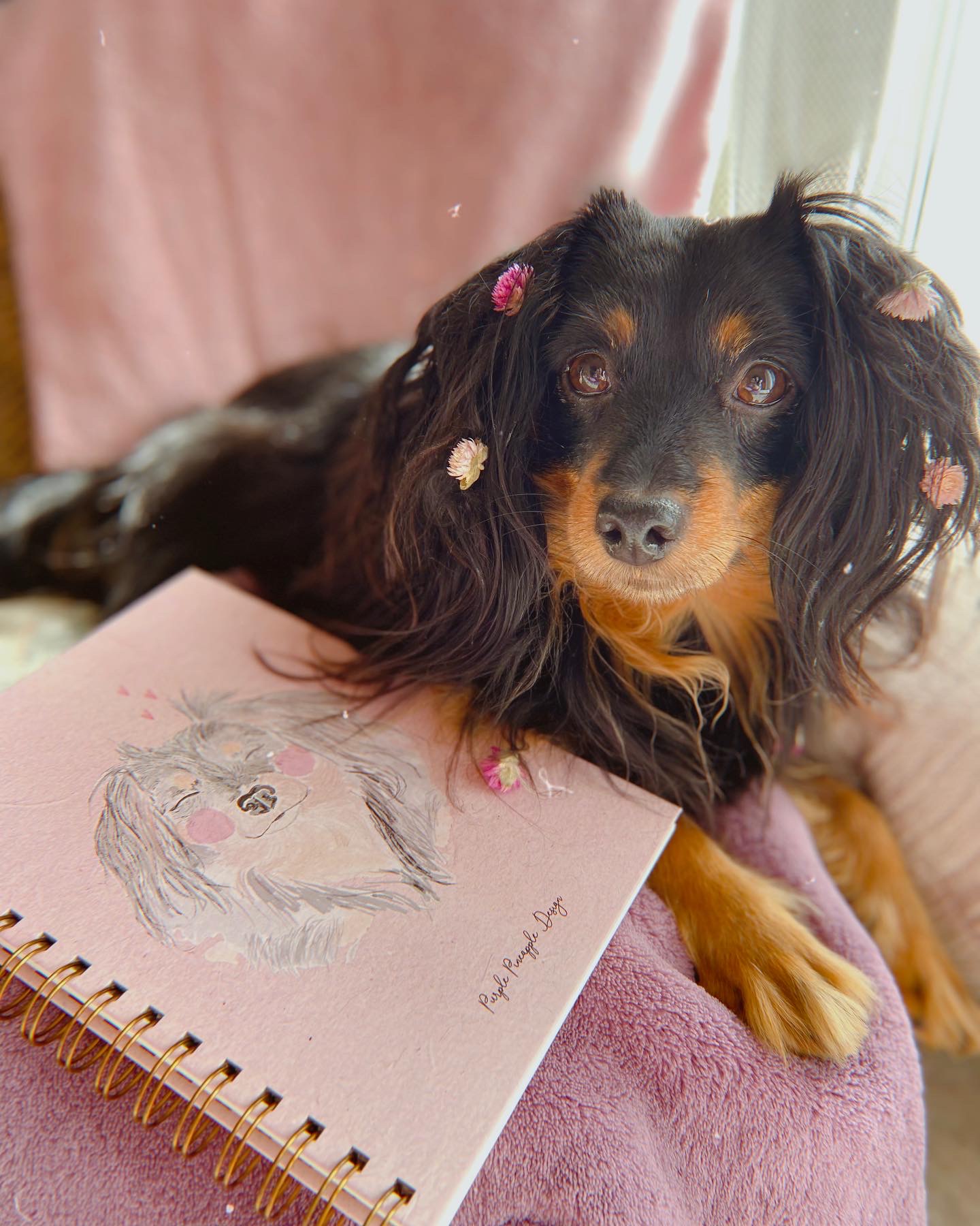 Caderno rosa com ilustração de cão e cão preto com flores no pelo sobre almofada rosa