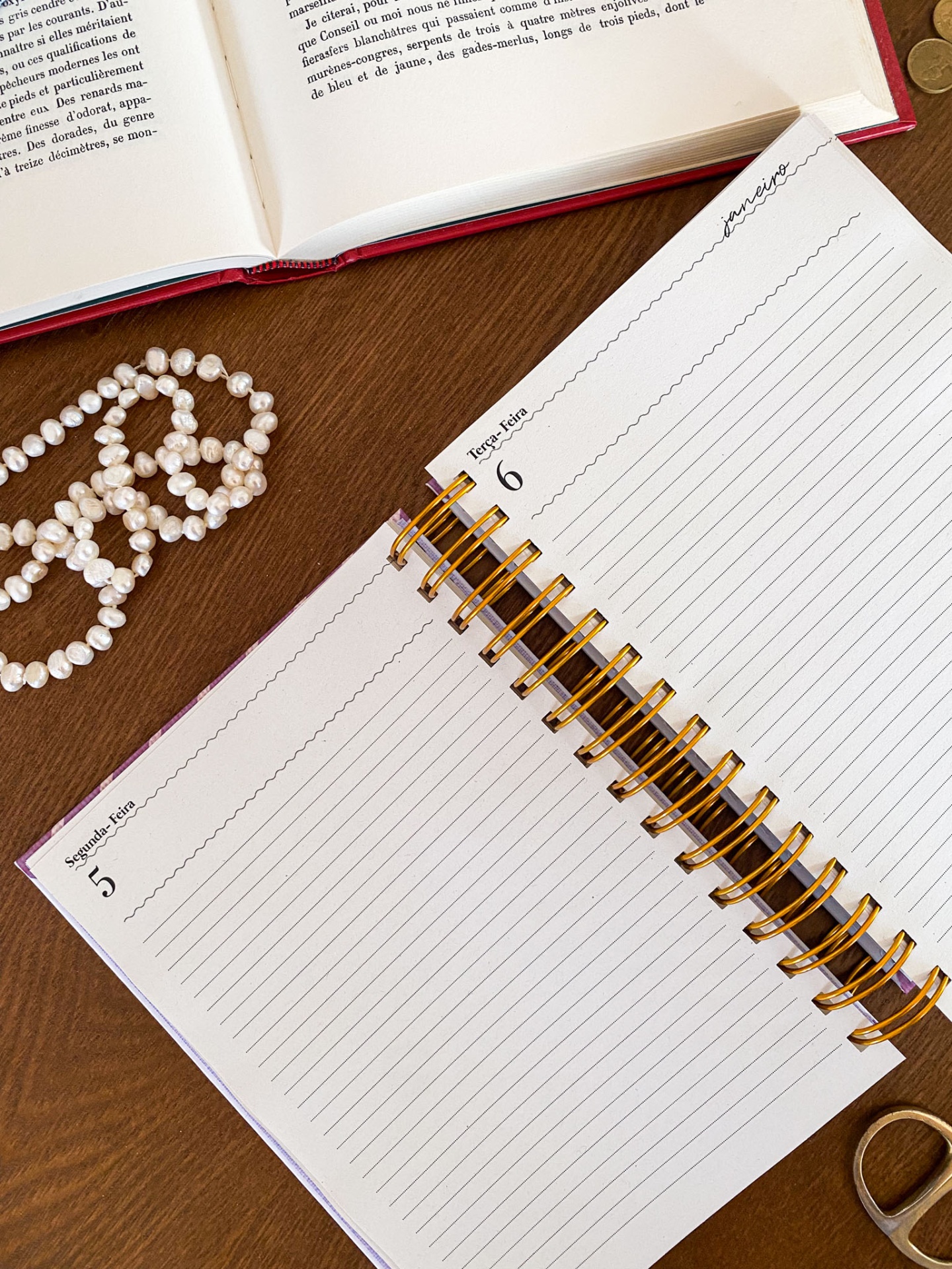 Agenda diária aberta com datas janeiro 5 e 6, livro aberto, colar de pérolas e moedas numa mesa de madeira