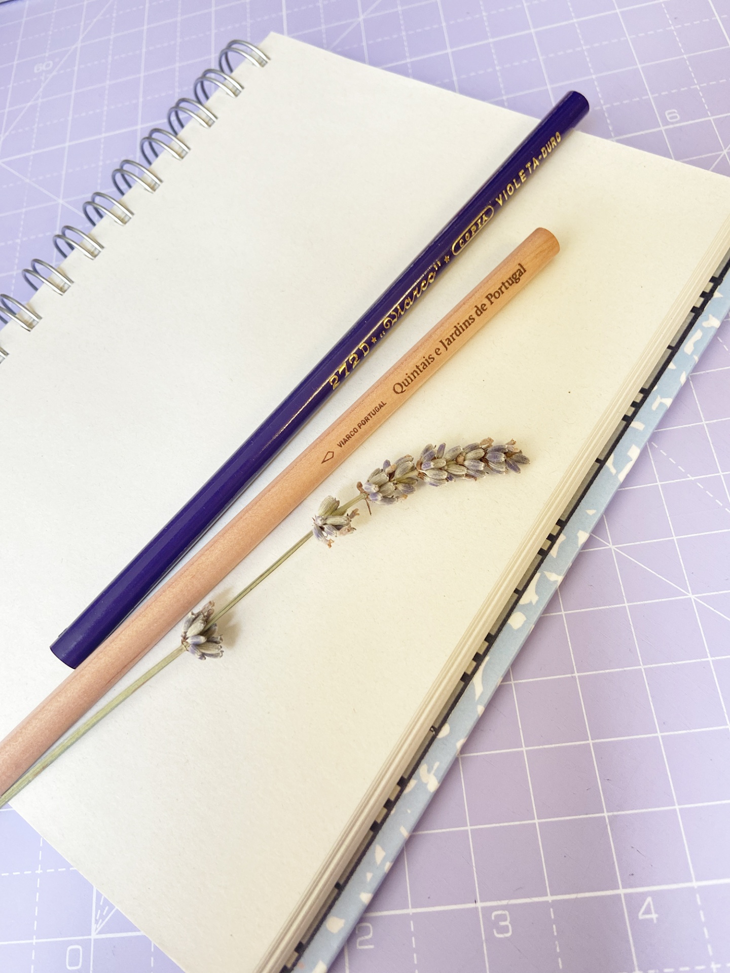 Caderno aberto com duas canetas e ramo seco de lavanda sobre páginas brancas, sobre superfície lilás quadriculada.