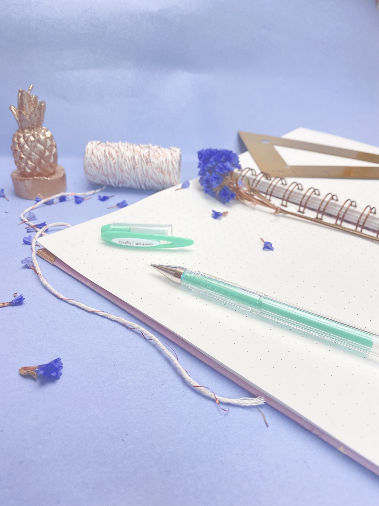 Caderno com caneta verde, flores secas azuis, corda, ananás decorativo e régua sobre superfície azul