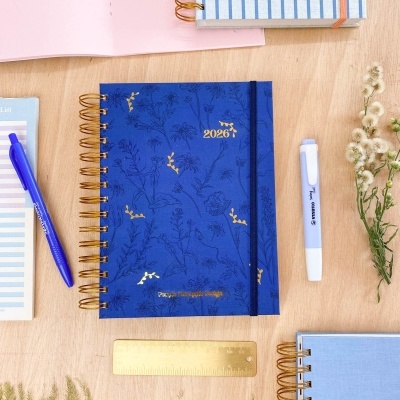 Artigos de papelaria variados sobre mesa de madeira clara, incluindo agenda azul 2026, caneta azul, marcador branco e régua dourada.