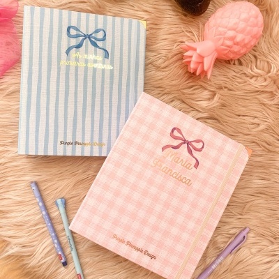 Dois cadernos em tecido azul às riscas e rosa às quadrículas, com texto personalizado, elástico dourado, canetas coloridas, brinquedo em forma de ananás cor-de-rosa e peluche sobre superfície peluda castanha.