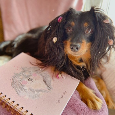 Caderno rosa com ilustração de cão e cão preto com flores no pelo sobre almofada rosa
