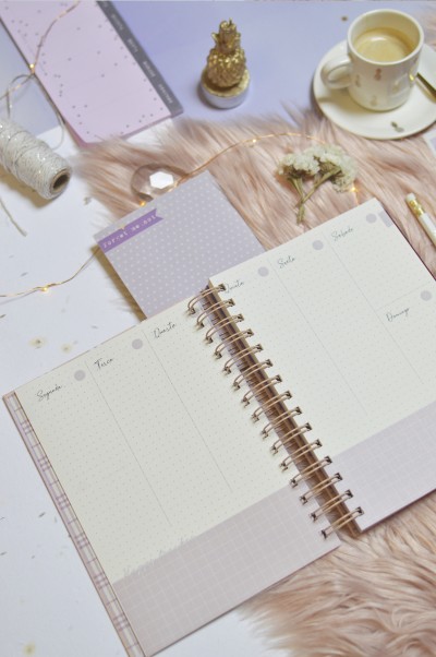 Caderno semanal aberto para planeamento com capa cinza claro e lilás, sobre tapete felpudo bege, com acessórios de escritório e uma chávena de café