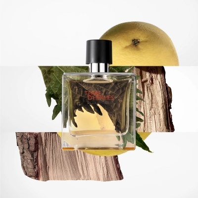 Frasco de perfume Terre d'Hermès com madeira, folhas e citrino