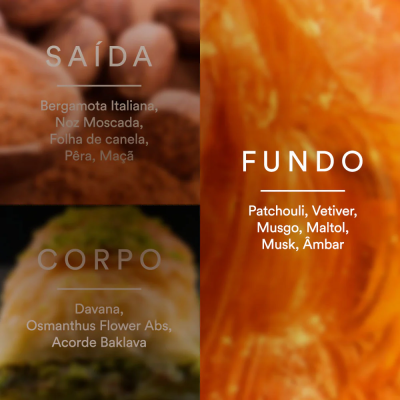 Close-ups de especiarias e plantas com texto em português sobre notas olfativas