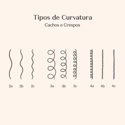 Ilustração dos tipos de curvatura de cabelos cacheados e crespos com classificação numérica.