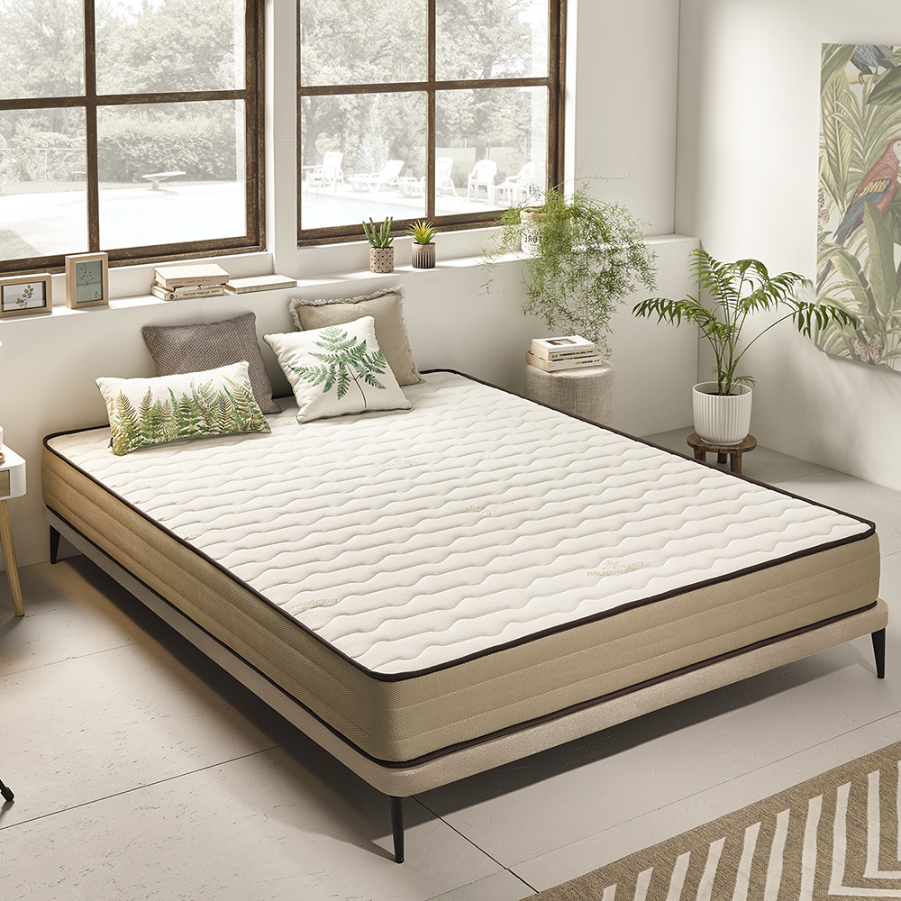 Colchão bege com borda preta numa estrutura de cama, almofadas decorativas verdes e branco, plantas e janelas no fundo
