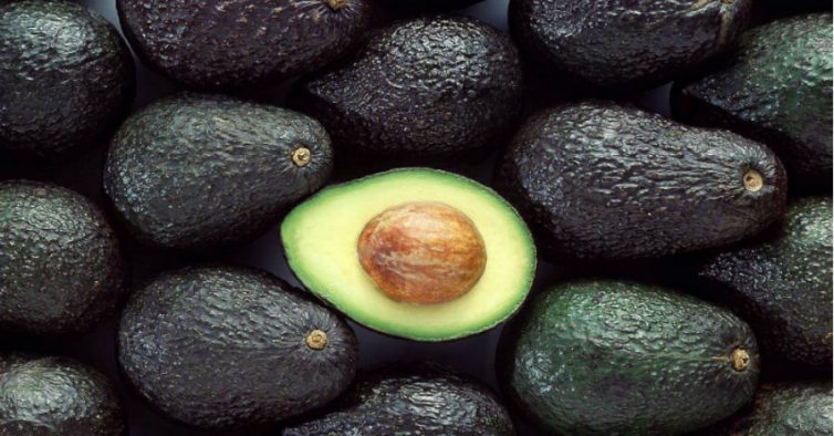 Abacates com casca rugosa, um cortado ao meio mostrando polpa e caroço