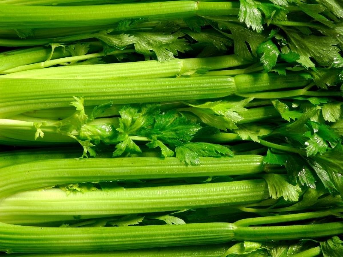 Talos frescos de aipo verde com folhas e caules alinhados