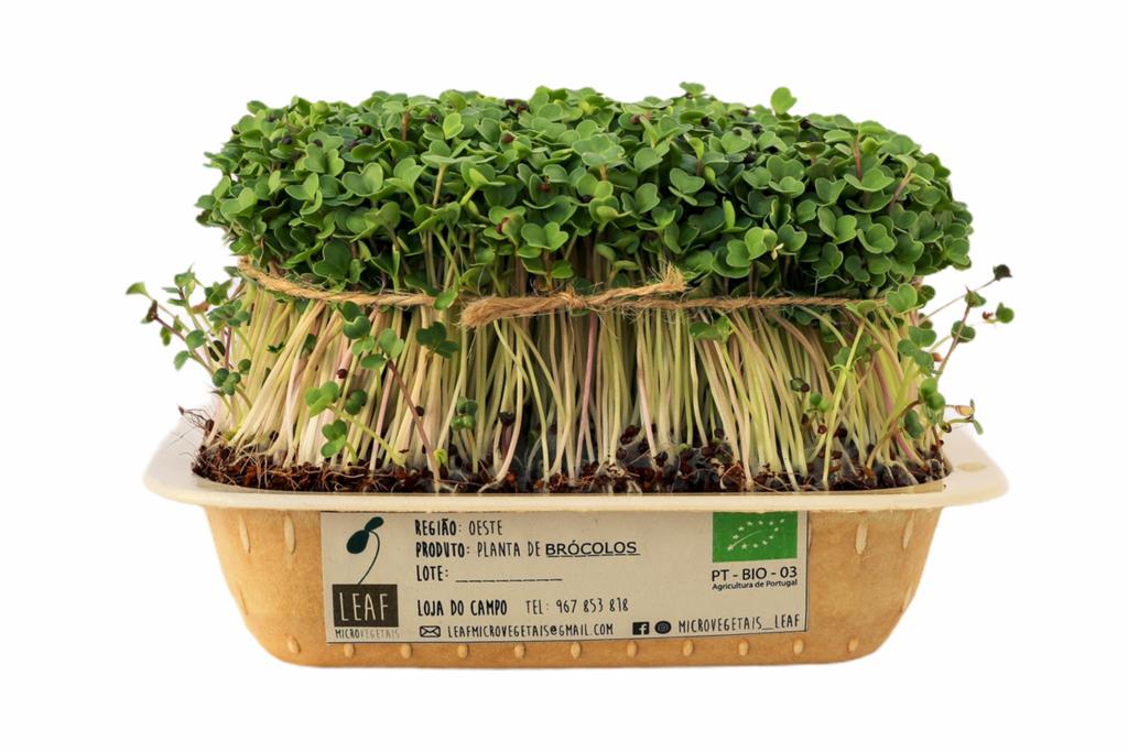 Planta de brócolos em embalagem ecológica com etiqueta detalhada