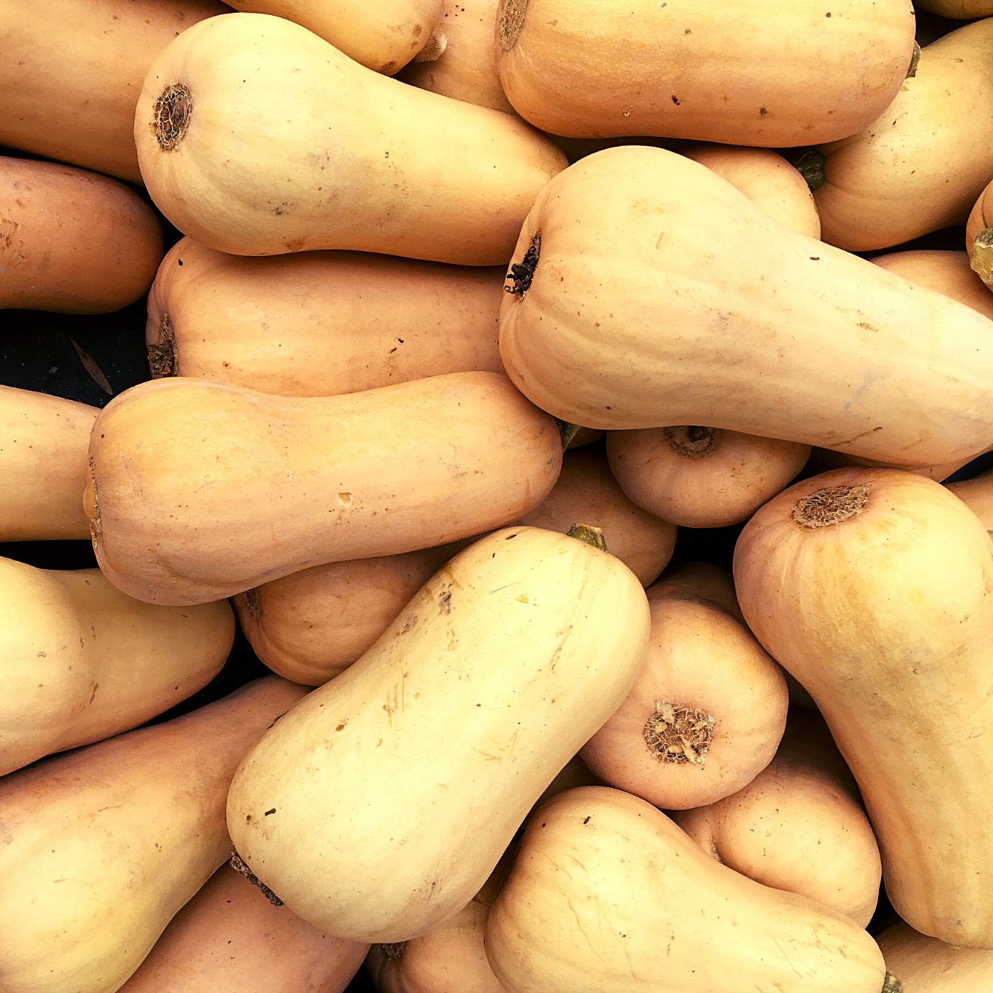 Abóboras butternut amarelas empilhadas numa caixa preta