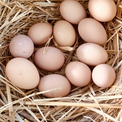 Ovos&#x20;da&#x20;Quinta