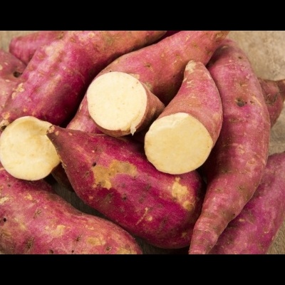 Batata&#x20;Doce&#x20;Branca