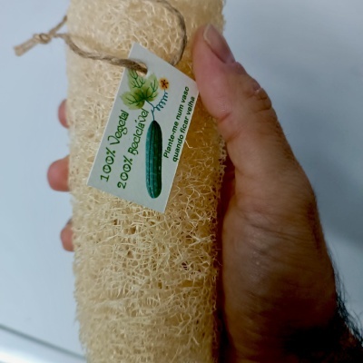 Esponja&#x20;de&#x20;Luffa&#x20;uni