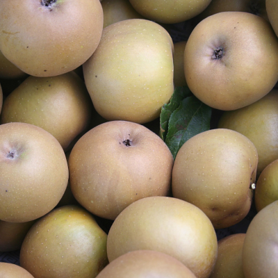 Ma&#x00E7;&#x00E3;&#x20;Reineta