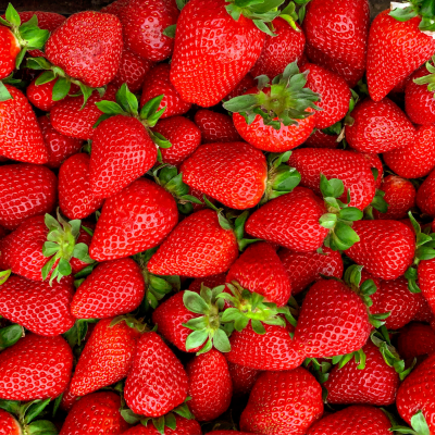 Morango