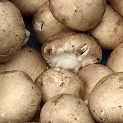 Cogumelos&#x20;Marron&#x20;250g