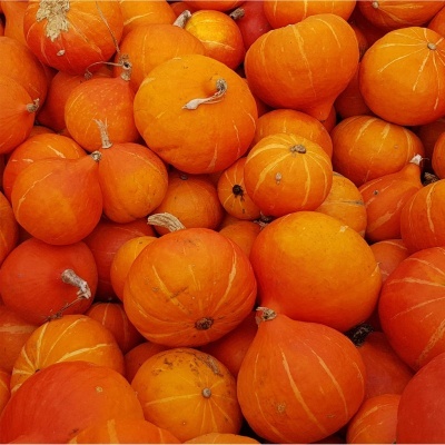 Ab&#x00F3;bora&#x20;Hokkaido&#x20;uni